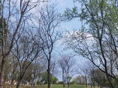 -盘龙城国家考古遗址公园