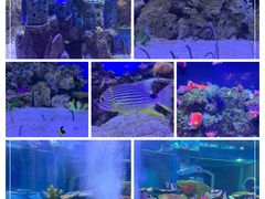 -成都浩海立方海洋公园