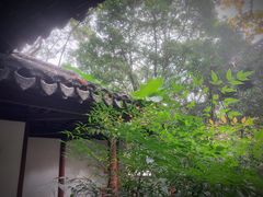 -秋霞圃