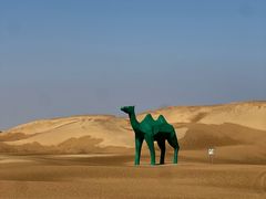 -银肯塔拉沙漠生态旅游景区