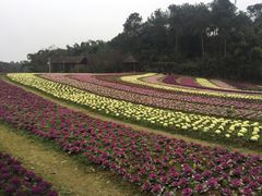 -保利石象湖景区