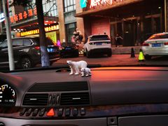 -麒麟华膳汇(飞泷商务大厦店)