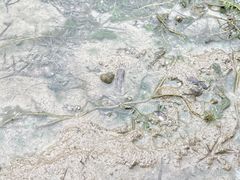 -上海怡沁园度假酒店