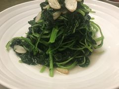 -苏浙汇(朝外店)