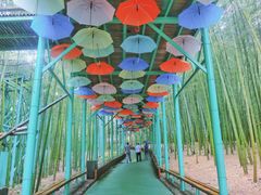 -陶祖圣境风景区