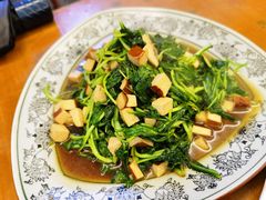 马兰头豆腐-原味缘菜馆