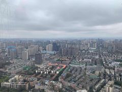 -339旋转餐厅(天府熊猫塔店)