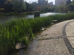 -昆山城市生态森林公园