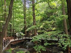 -北京植物园南门售票处