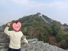 -黄贤森林公园