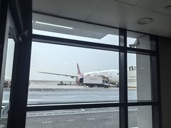 -上海浦东国际机场-T2航站楼