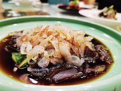 -丁老爷子苏香圆