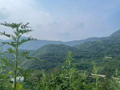 -潭柘厚院&山顶烤肉(潭柘寺店)