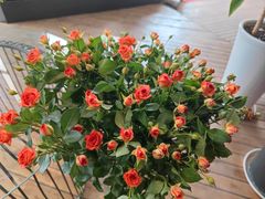 -24H COLOR咖啡厅(惠州金山湖店)