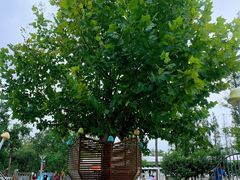 -前小桔亲子创意农场·草莓采摘·露营烧烤