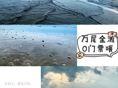 -万尾金滩