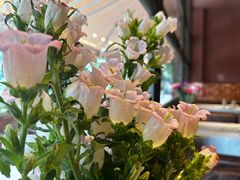 -和牛食堂•BISTRO(广州首店)