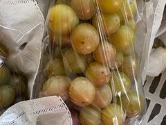 -马陆小张葡萄园农家乐