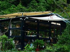 -北仑森林植物园