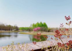 -萌宠亲子动物乐园(槐房万达店)