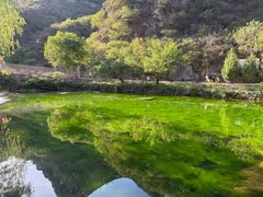 -沕沕水生态风景区