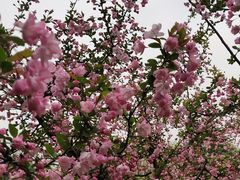 -白塘生态植物园