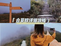 -白草畔自然风景区