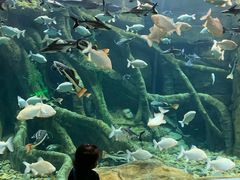 -波塞冬旅游度假区