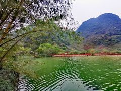 -靖西鹅泉风景区