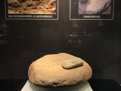 -浙江省博物馆(孤山馆区)