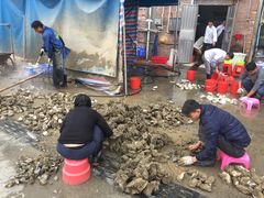 -蚝专家(北滘店)