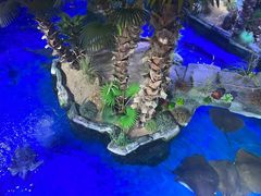 -北海海底世界