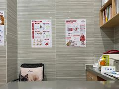 -瑞派名望志远动物医院·猫科·內科·异宠专科(直港大道店)
