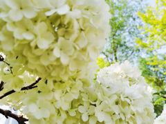 -大龙山(地铁站)