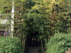 -乌村