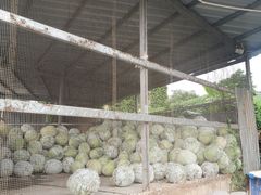 -红旗山庄(圭峰山店)