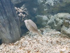 -福州罗源湾海洋世界旅游区