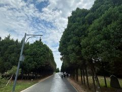-秦始皇帝陵博物院-丽山园