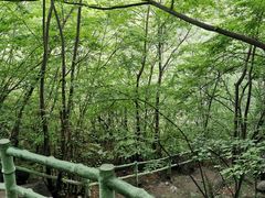 -孤山寨风景区