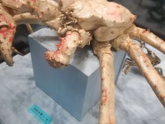 -天津自然博物馆