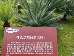 -攀枝花公园