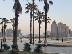 -金沙湖公园