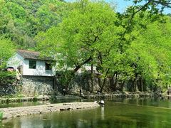 -鹿亭中村