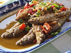 瑶河小鱼-瑶河山里菜