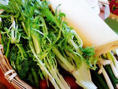 -老村长农家院