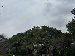 -徐家汇源景区-衡山公园