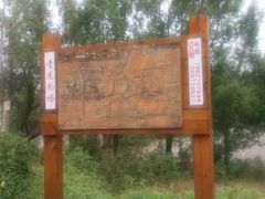 -青龙山国家森林公园