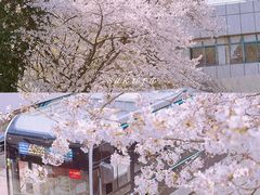 -南浦大桥长途旅游客运站