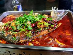 金厨一绝烤海鲈鱼-金厨帽烤鱼(芦庄店)
