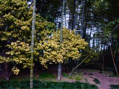 -苏州河梦清园环保主题公园